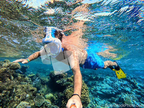 Image of Snorkel swim in coral reef in Red sea, Egypt