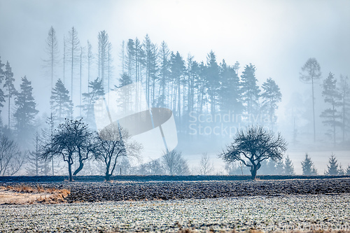 Image of Winter foggy and misty sunrise landscape