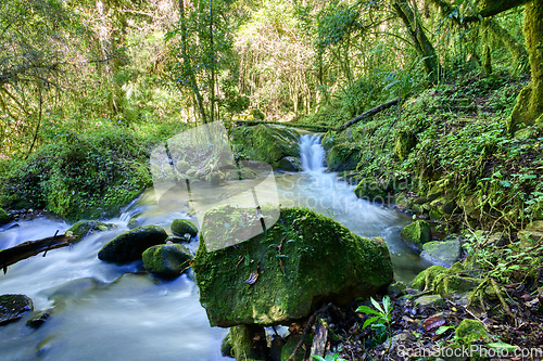 Image of wild mountain river Rio Savegre. San Gerardo de Dota, Costa Rica.