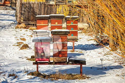 Image of beehives in the winter garden