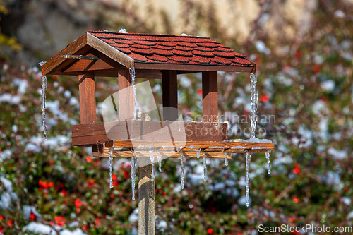 Image of bird feeder in frozen snowy winter garden