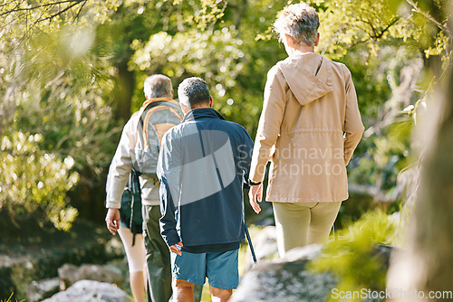 Image of Hiking, fitness and elderly with people in the park for exercise, senior hiker group together with retirement and trekking back view. Hike, active lifestyle and wellness with vitality and friends.