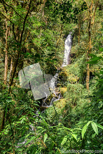 Image of Waterfall on wild mountain river. San Gerardo de Dota, Costa Rica.