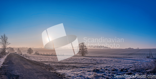 Image of Winter foggy and misty sunrise landscape