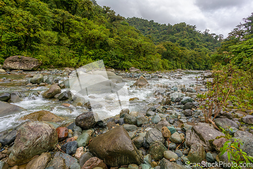 Image of The Orosi River, Tapanti - Cerro de la Muerte Massif National Park