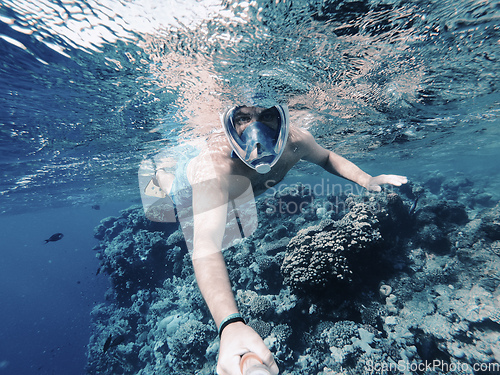 Image of Snorkeling in coral reef in Red sea, Egypt