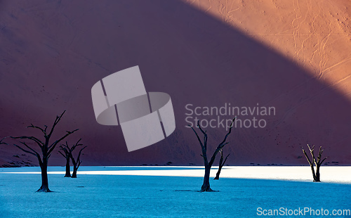 Image of Dead Vlei landscape in Sossusvlei, Namibia