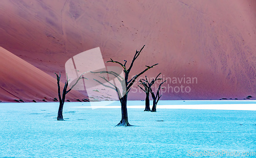 Image of Dead Vlei landscape in Sossusvlei, Namibia