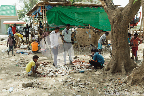 Image of The men sort the remaining fish after closing the fish market. Ethiopia