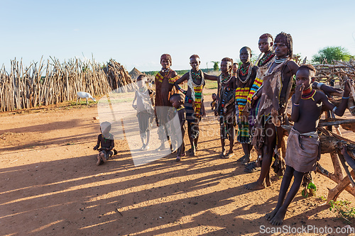 Image of Hamar Tribe of the Omo River Valley, Southwestern Ethiopia