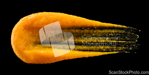 Image of vegetable puree on black background