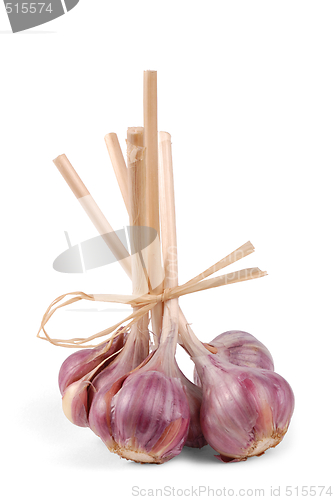 Image of Garlic