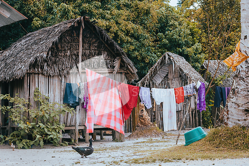Image of Laundry day in Masoala, Madagascar