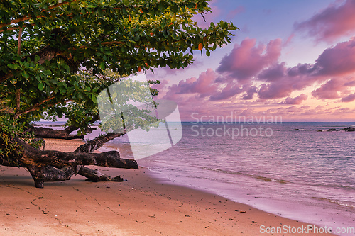 Image of Beautiful view of the coast of Masoala National Park in Madagascar