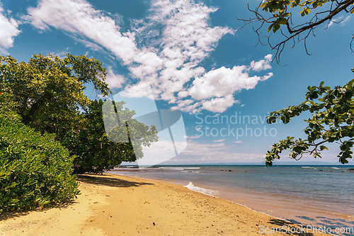 Image of Beautiful view of the coast of Masoala National Park in Madagascar