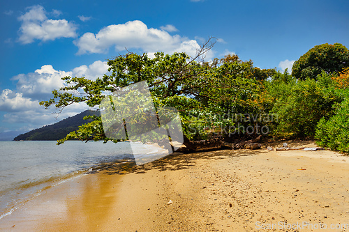 Image of Beautiful view of the coast of Masoala National Park in Madagascar