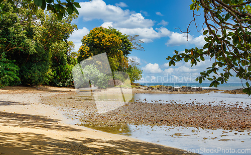 Image of Beautiful view of the coast of Masoala National Park in Madagascar