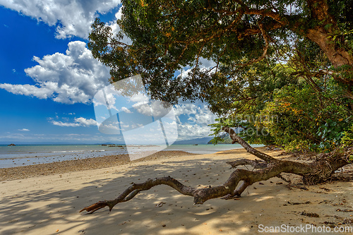 Image of Beautiful view of the coast of Masoala National Park in Madagascar