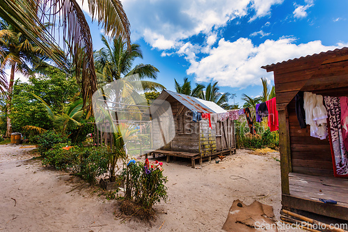 Image of Laundry day in Masoala, Madagascar