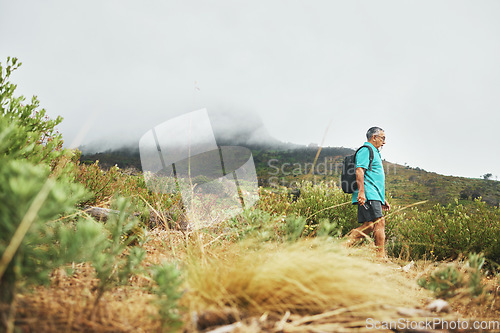 Image of Hiking, walking or senior man in nature, forest or wilderness for trekking journey or adventure banner. Bush, holiday or mature hiker on field for exercise, fitness or wellness and sky mockup