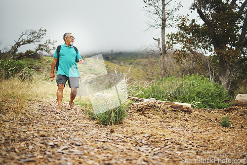 Image of Mountain, hiking and senior man in nature, countryside or exercise in woods for fitness, cardio health or wellness. Retirement, workout and person walking in forest, environment or relax in landscape