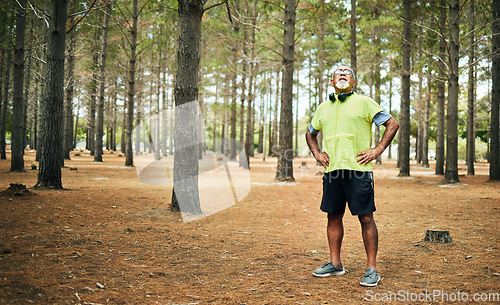 Image of Hiking, tired or senior man in nature for walking or trekking journey or adventure on break in woods. Breathe, relax or exhausted mature hiker with fatigue in exercise, fitness or workout in forest