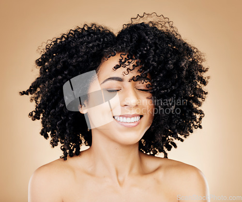 Image of Woman, curly or wind in afro hair for fun on studio background in healthy hairstyle growth, texture or frizz treatment success. African beauty model, shake or change by shampoo transformation results