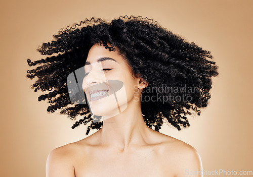 Image of Woman, curly or hair shake in afro fun on studio background for healthy hairstyle growth, texture or frizz treatment success. African beauty model, energy or change by shampoo transformation results
