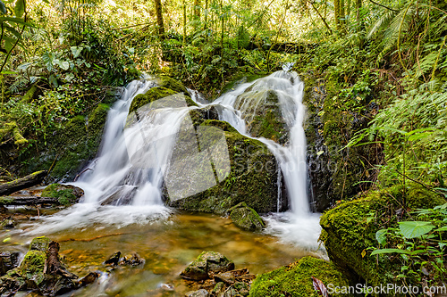 Image of Small wild mountain river waterfall. San Gerardo de Dota, Costa Rica.