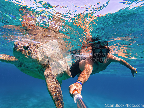 Image of Snorkel swim with green sea turtle, Marsa Alam, Egypt