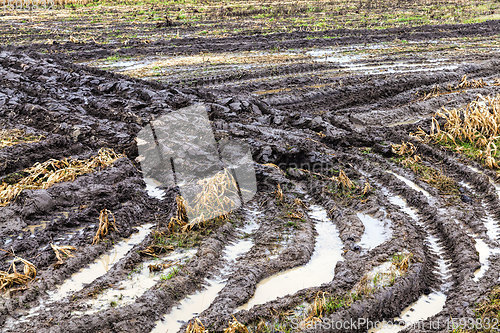 Image of road in a rural area