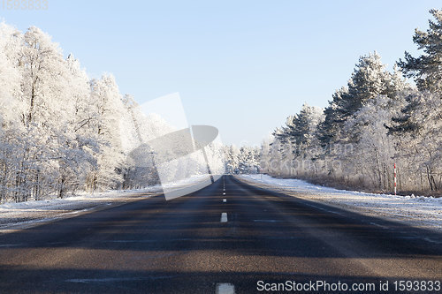 Image of road in the forest