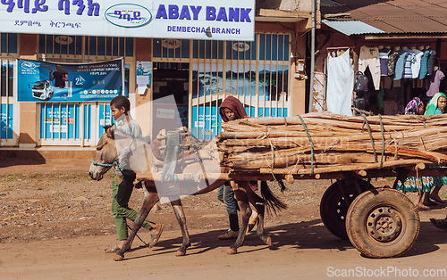 Image of Boys with horse with cart transport wooden logs, Ethiopia