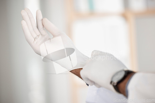 Image of Doctor, pull on and gloves for safety in closeup at hospital for patient, exam or medicare on blurred background. Person, nurse and protection for medical, health or treatment by consulting in clinic