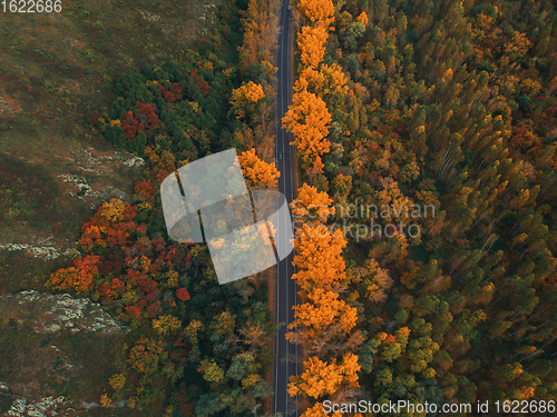 Image of Aerial view of road in beautiful autumn altai forest