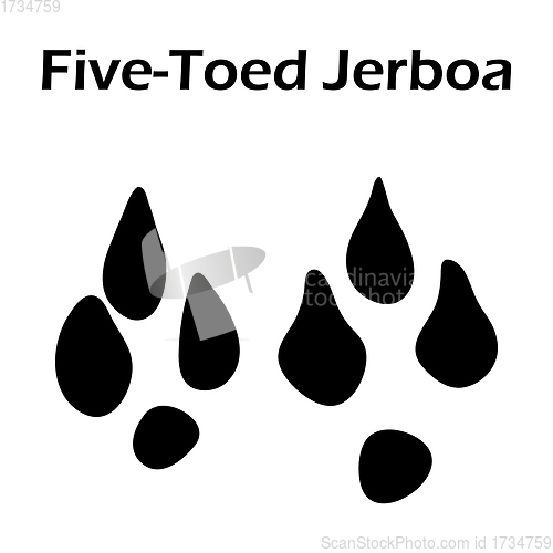 Image of Five-Toed Jerboa Footprint