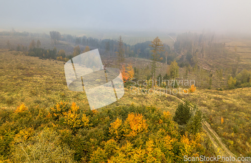 Image of Aerial view of autumn countryside, traditional fall landscape in central Europe