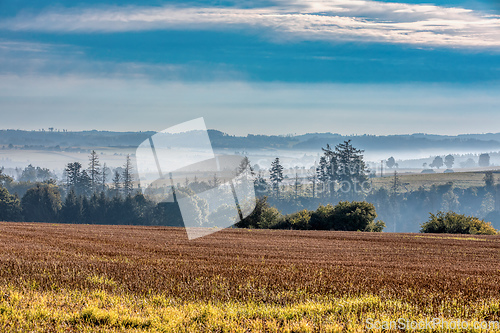 Image of Autumn foggy and misty sunrise landscape