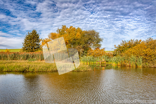 Image of The sunny autumn morning at the pond