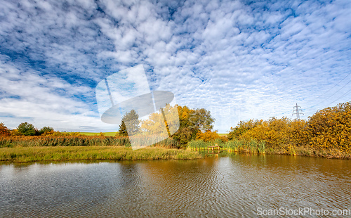 Image of The sunny autumn morning at the pond