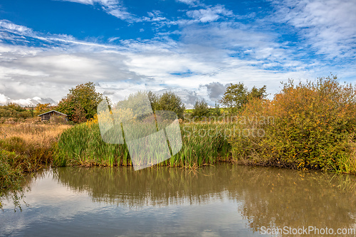 Image of The sunny autumn morning at the pond