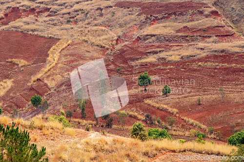 Image of Central Madagascar landscape - Betafo, Vakinankaratra Madagascar