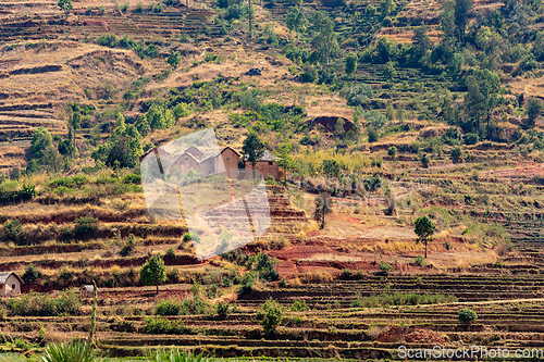 Image of Central Madagascar landscape - Betafo, Vakinankaratra Madagascar