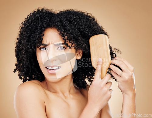 Image of Hair, beauty and confused woman with afro brush for style isolated in a studio brown background for wellness and skincare. Comb, frustrated and angry person with frizzy knots in Brazil hairdresser