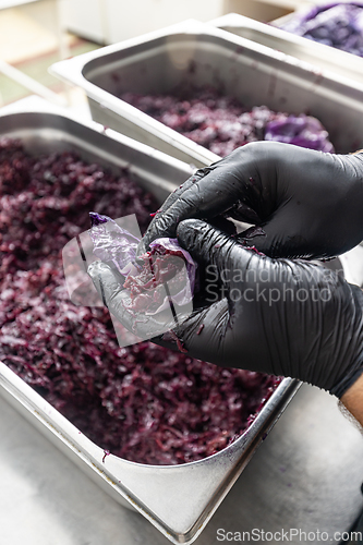 Image of Braised red cabbage