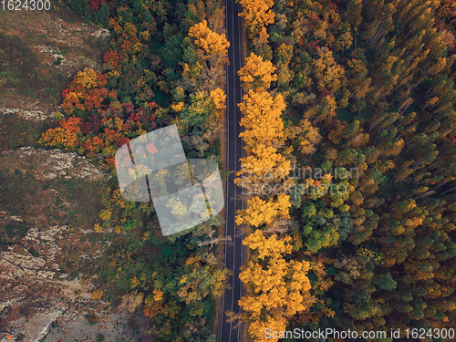 Image of Aerial view of road in beautiful autumn Altai forest