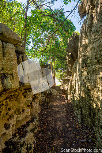 Image of Petit Tsingy de Bemaraha, Madagascar wilderness landscape