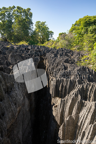 Image of Petit Tsingy de Bemaraha, Madagascar wilderness landscape