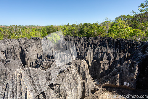 Image of Petit Tsingy de Bemaraha, Madagascar wilderness landscape