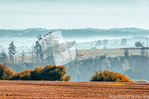 Image of Autumn foggy and misty sunrise landscape